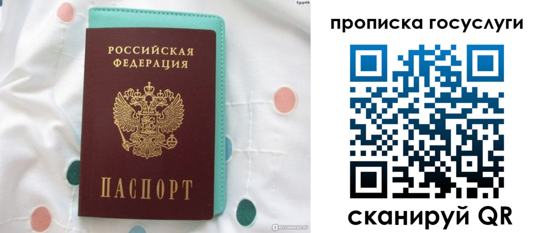 прописка поиск в Жуковке